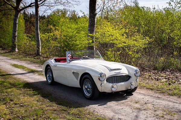 Austin Healey 100